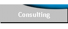 Consulting